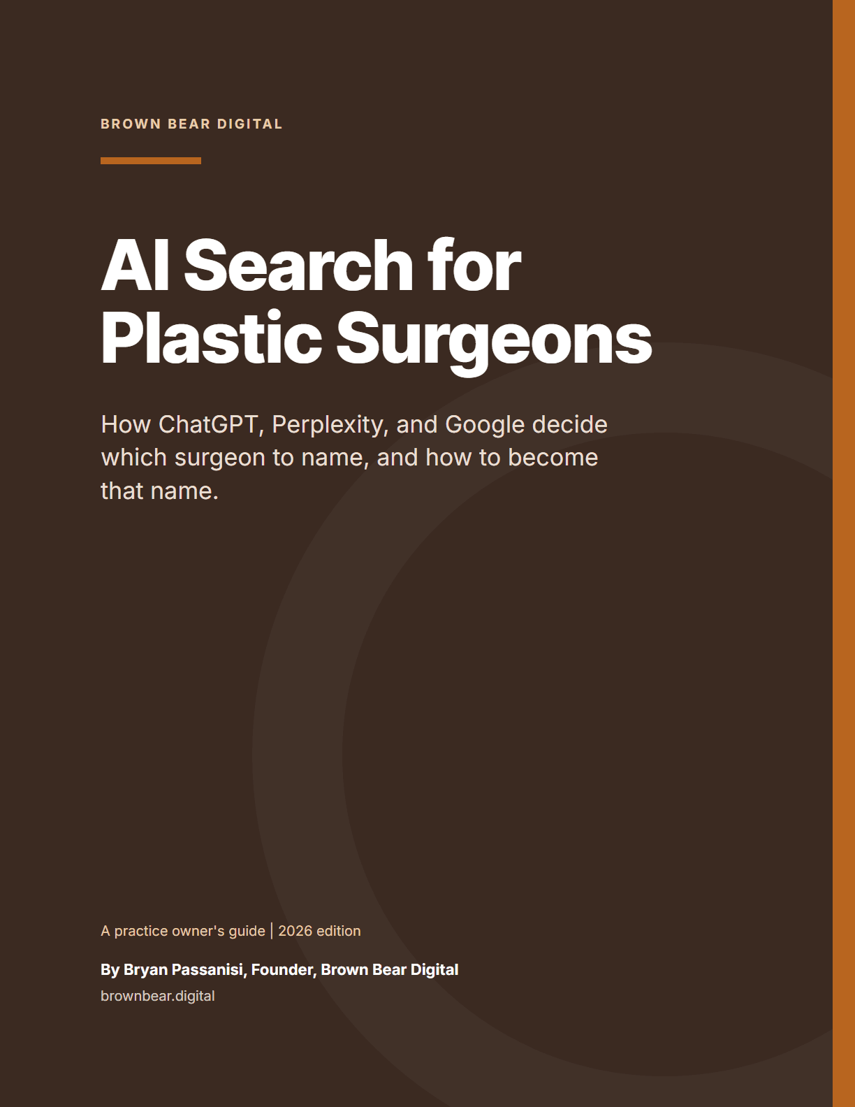 Cover of the AI Search for Plastic Surgeons: The PDF Guide PDF